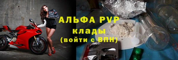 спиды Гусев