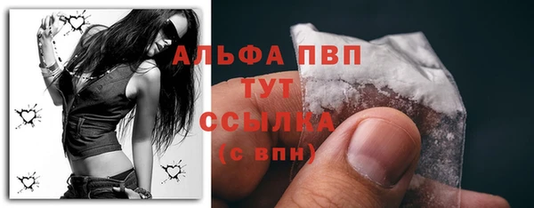 дживик Гусиноозёрск