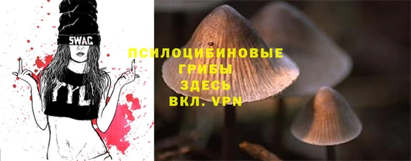 дживик Гусиноозёрск