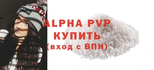 спиды Гусев