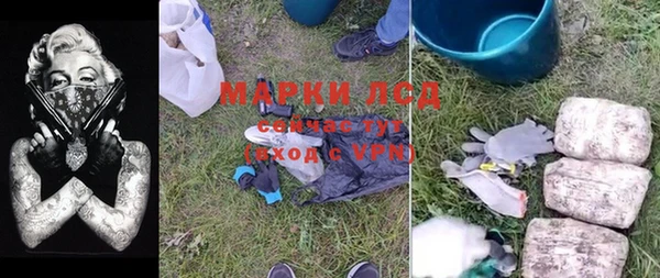 спиды Гусев