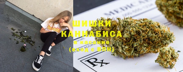 дживик Гусиноозёрск