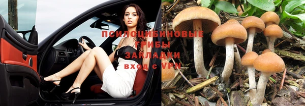 спиды Гусев