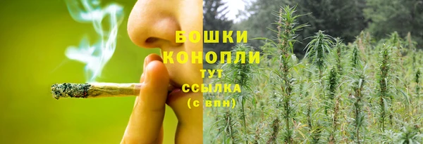 дживик Гусиноозёрск
