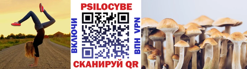 Купить где  Рославль  Галлюциногенные грибы GOLDEN TEACHER 